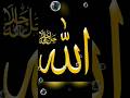 Islamic dpz collection ❤️ ||Allah Muhammad name dp images for WhatsApp #allah #love