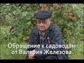 Обращение к садоводам от Валерия Железова. Видео.