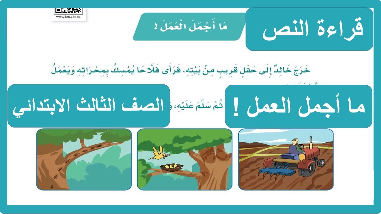 ما أجمل العمل الصف الثالث الابتدائي لغتي