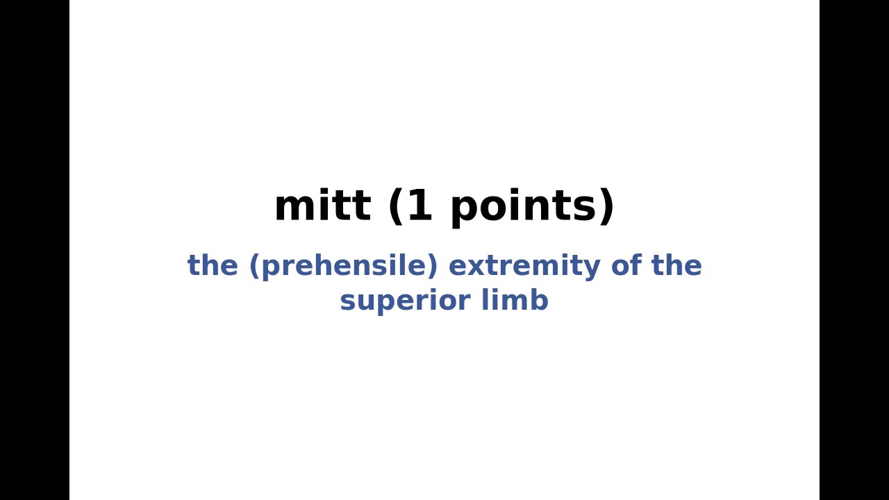 New York Times Spelling Bee Solution and Answers for February 24, 2020 YouTube