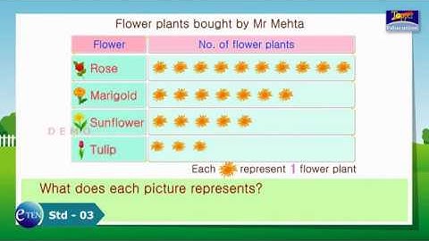 Std 03 Math Data Handling