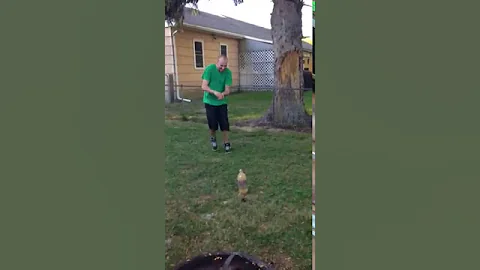 Coke and mentos!