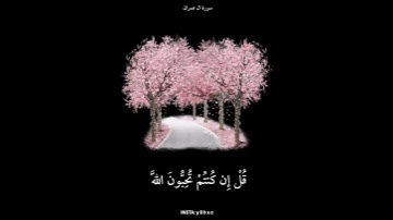 سورة ال عمران 🎥:أرح قلبك ♥️ #قران
