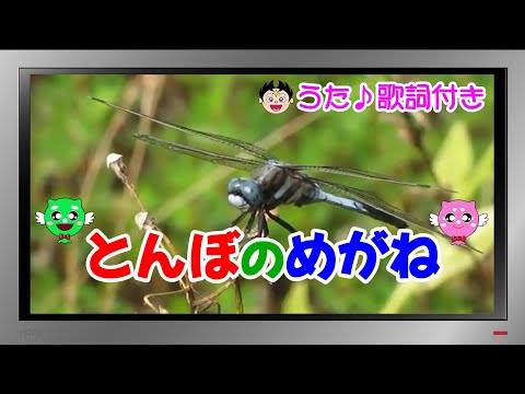 【ぽんちゃんのうた♪】童謡『とんぼのめがね』を歌ってみたよ♪
