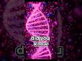 You are a Biological Masterpiece of Data