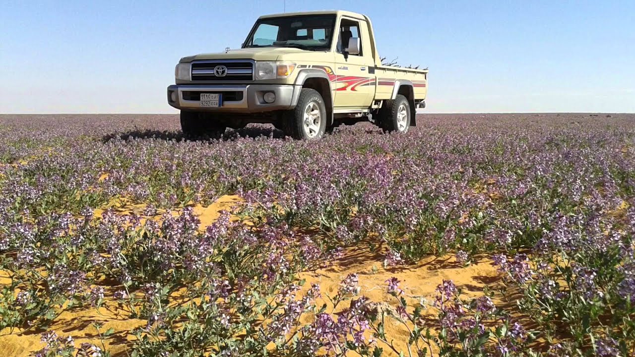 حياة البدو ١ للشاعر جهز الفلاح