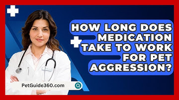 How Long Does Medication Take To Work For Pet Aggression? - PetGuide360.com