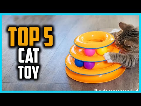 ✅Top 5 Best Cat Toy in 2024