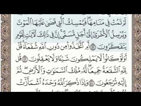 سورة الزمر الصفحة 463 الشيخ محمد صديق المنشاوي 