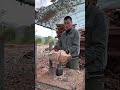 Splitting firewood.
