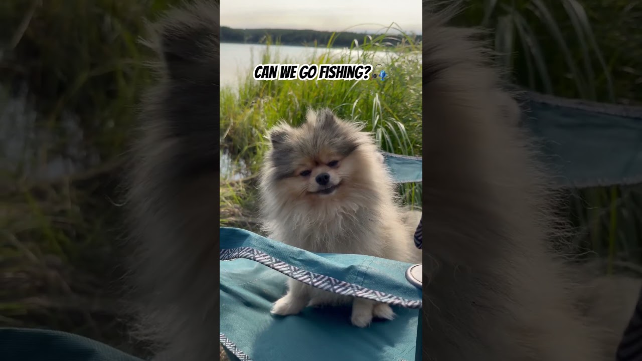 Can we go fishing?🎣