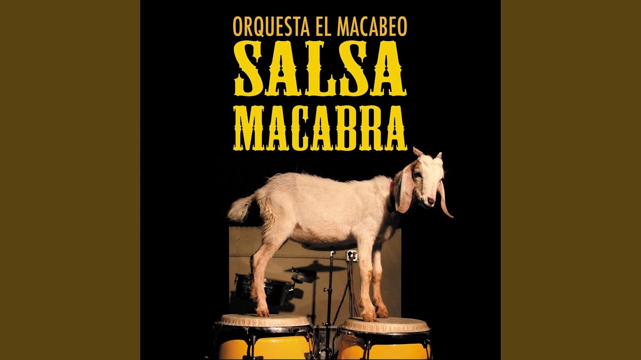 orquesta el macabeo supermercado orquesta el macabeo supermercado