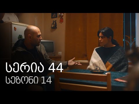 ჩემი ცოლის დაქალები - სერია 44 (სეზონი 14)