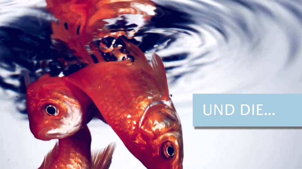 KYOCERA MITA Farbdrucker