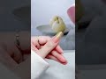 The Ultimate DIY Gold &amp; Polka Dot Gel Manicure in 2 Minutes! 💅✨ #NailArt #DIYNails #BeautyHacks