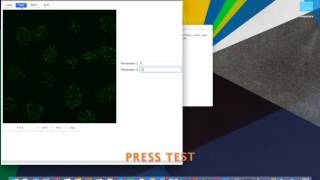Focicountapp - Automated Cells And Foci Γh2Ax, 53Bp1 Etc. Counting V.0.8