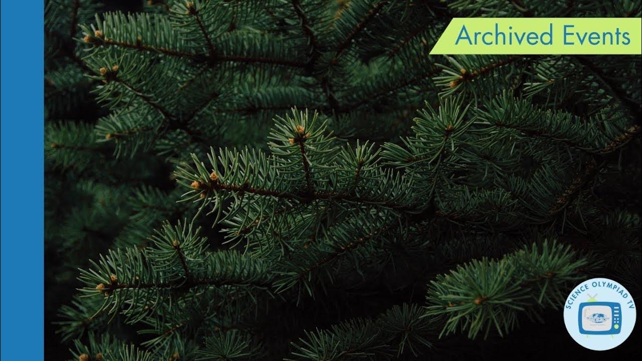 Tree Identification with Guests from the US Forest Service YouTube