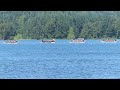 ★ Canadian Dragon Boat Championships 2013 Day 3 Race 143 Dragon Zone One West Open