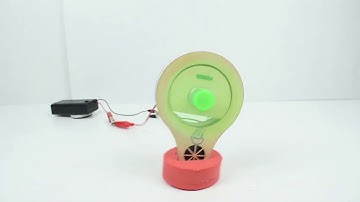 Crazy Bug | Working Videos | Tinker Lab At Home | ButterflyFields