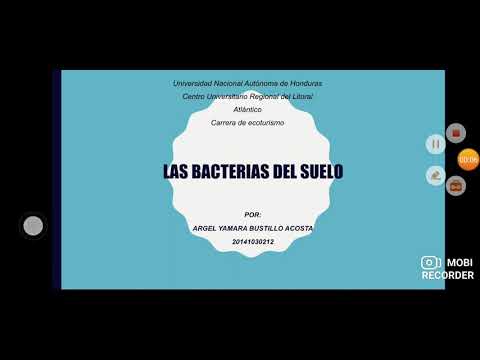 Las Bacterias del suelo