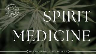 Why Mugwort Is the Herb for Highly Sensitive People