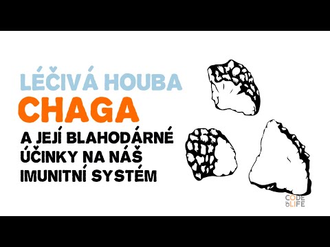 Video: Huba Lingzhi - Elixír Dlhovekosti