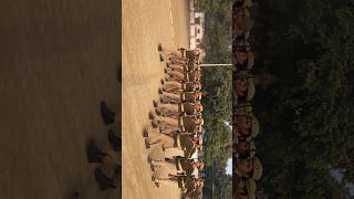 Up Police Girls Constable Training 💯🚨 #armyreels #uppolice #ncc #viralshorts #motivation #training