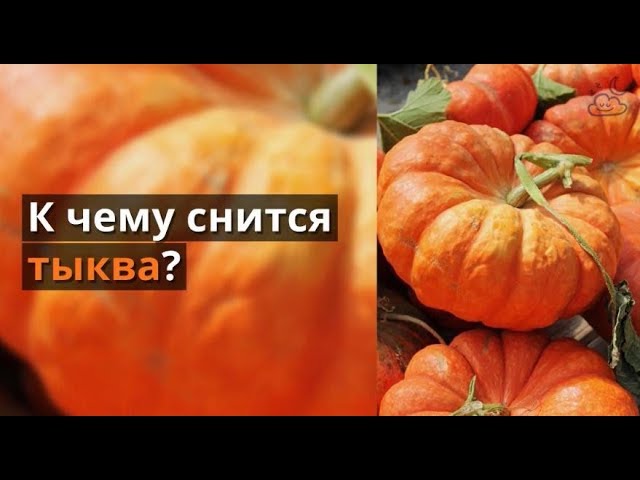 К чему снится тыква?