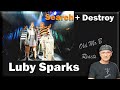 Luby Sparks - Search + Destroy (Reaction)