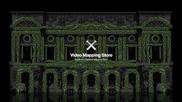 Christmas Tree - VIdeo Mapping Toolkit Vol.18