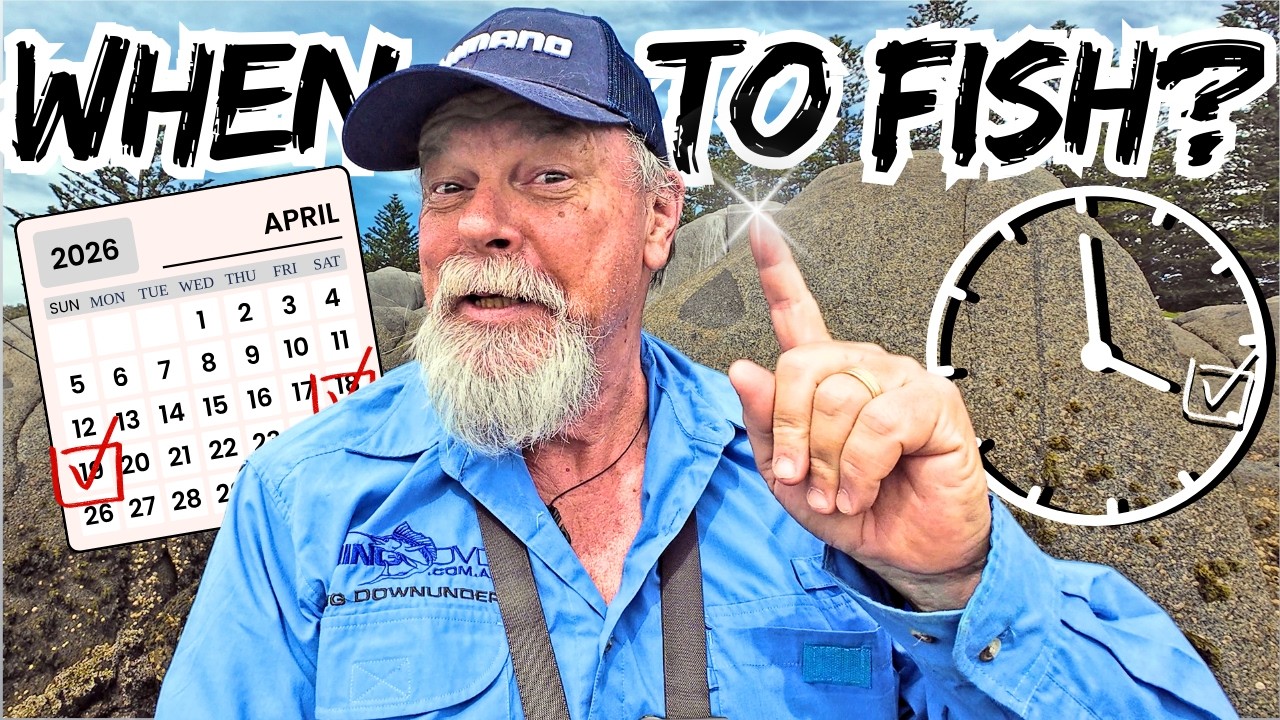 Pick The BEST Time To Go Fishing!