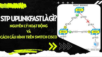 STP UplinkFast là gì? Nguyên lý hoạt động và Hướng dẫn cấu hình UplinkFast trên Switch Cisco
