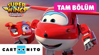 Hari̇ka Kanatlar Çok Özel Bir Konser Cartoonito Tam Bölüm