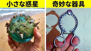 思わず共有したくなってしまう奇妙な発見！