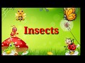 Insects  names of insects  animals  names of animals  animal  animals name