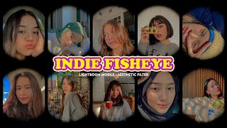 Indie Fisheye - Lightroom Mobile Presets | Indie Preset | TikTok Filter | Indie Kid Preset screenshot 2