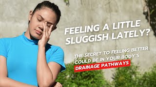 Opening Drainage Pathways and Why it's Important!