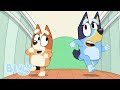 Bluey in Hindi |  योगा Ball | Full Episode | Hindi Cartoon for Kids