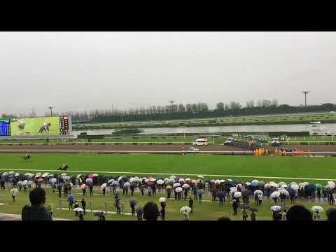 2017 秋華賞 ダービー 競馬