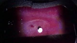 Americium-241