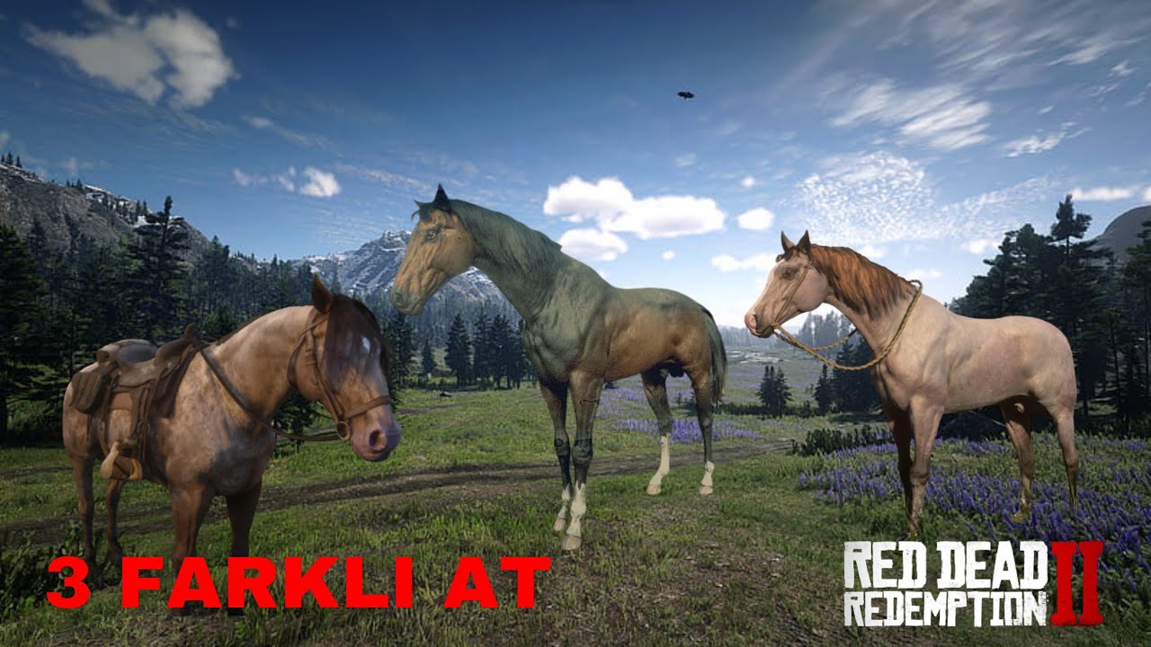 3 NADİR AT! RDR 2 BEDAVA AT ALMA - YouTube