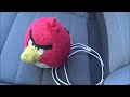 Beginning of video