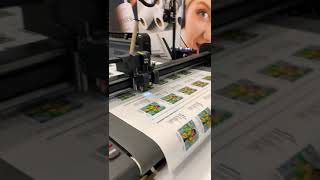 Summa F Series - Cutting Samples