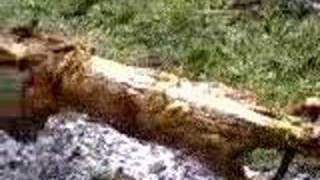 3In1 Kuzu Cevirme Popi Chernolik Dulovo