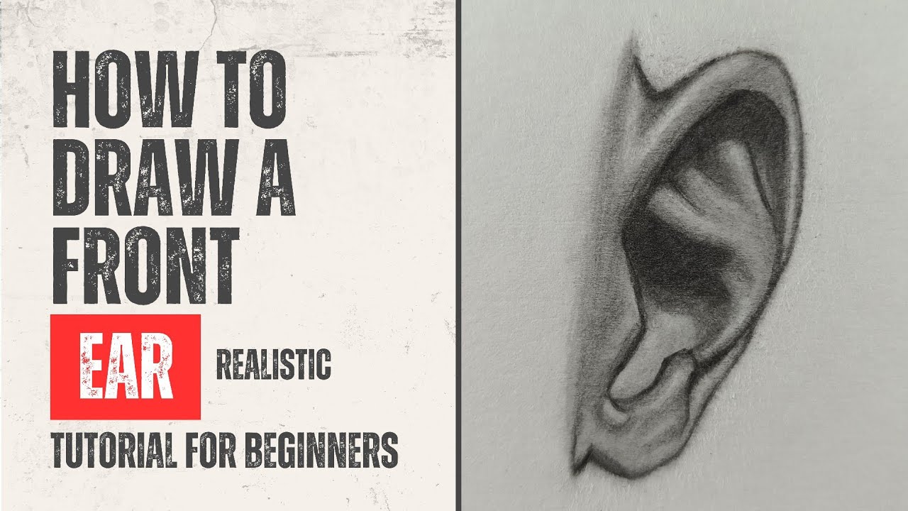 How To Draw Ears Front View | Tutorial For Beginners - YouTube