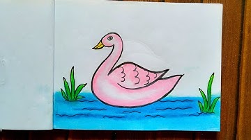 How to draw swan step by step | Easy drawing and colouring idea