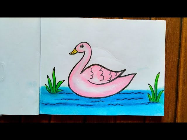 1589 Swan Drawing Stock Photo - Alamy