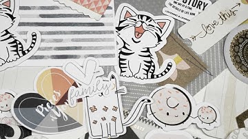 Create a Vector from a hand-drawn Image in Affinity Designer