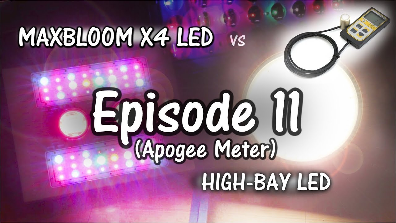 MaxBloom vs High Bay LED Grow Light Ep.11 (Apogee Meter)