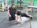 CrossFit Journal - The Position: Part 4—The Ring Push-up (Preview)